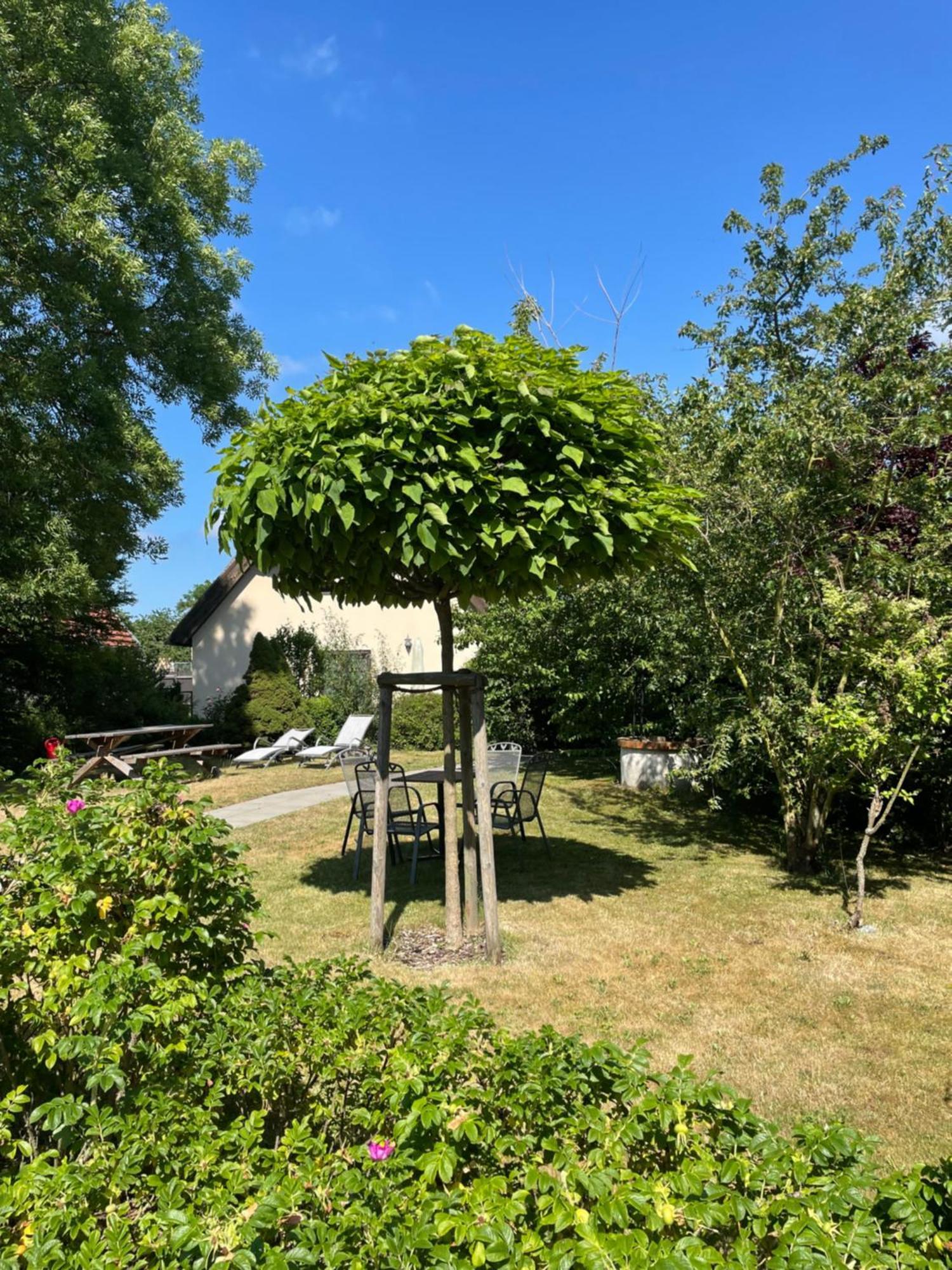 Fischerhus In Krummin - nur für Familien Exterior foto